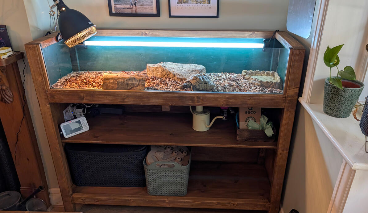 Reptile Vivarium